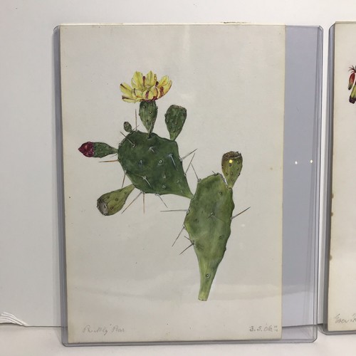Emily C Smith English Botanicals Watercolor Paper Painting Prickly Pear Floral