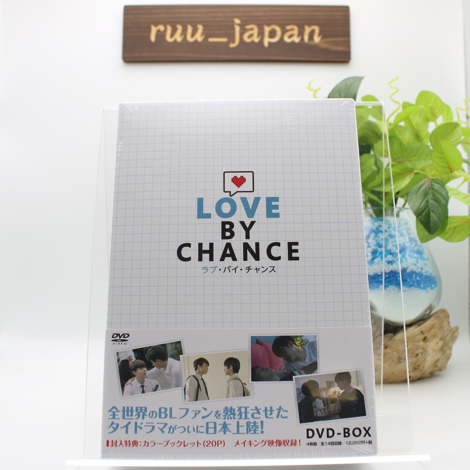 New Love by Chance DVD-BOX Standard Edition Thai BL Drama