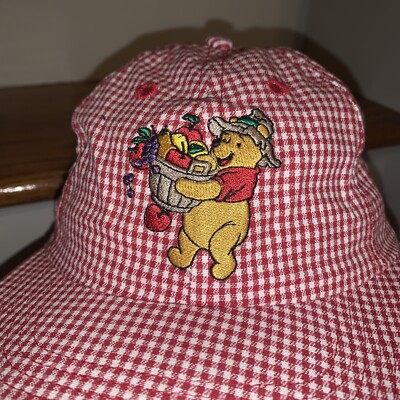 THE DISNEY STORE Exclusive WINNIE THE POOH Pooh's Fruit Stand Cap Hat   tbhat1