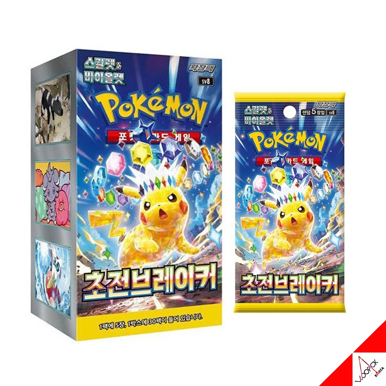 韓国公式 ポケカ ピカチュウ　プレゼントボックス　バインダー　BOX E138 韓国公式 ポケカ ピカチュウ プレゼントボックス バインダー BOX
