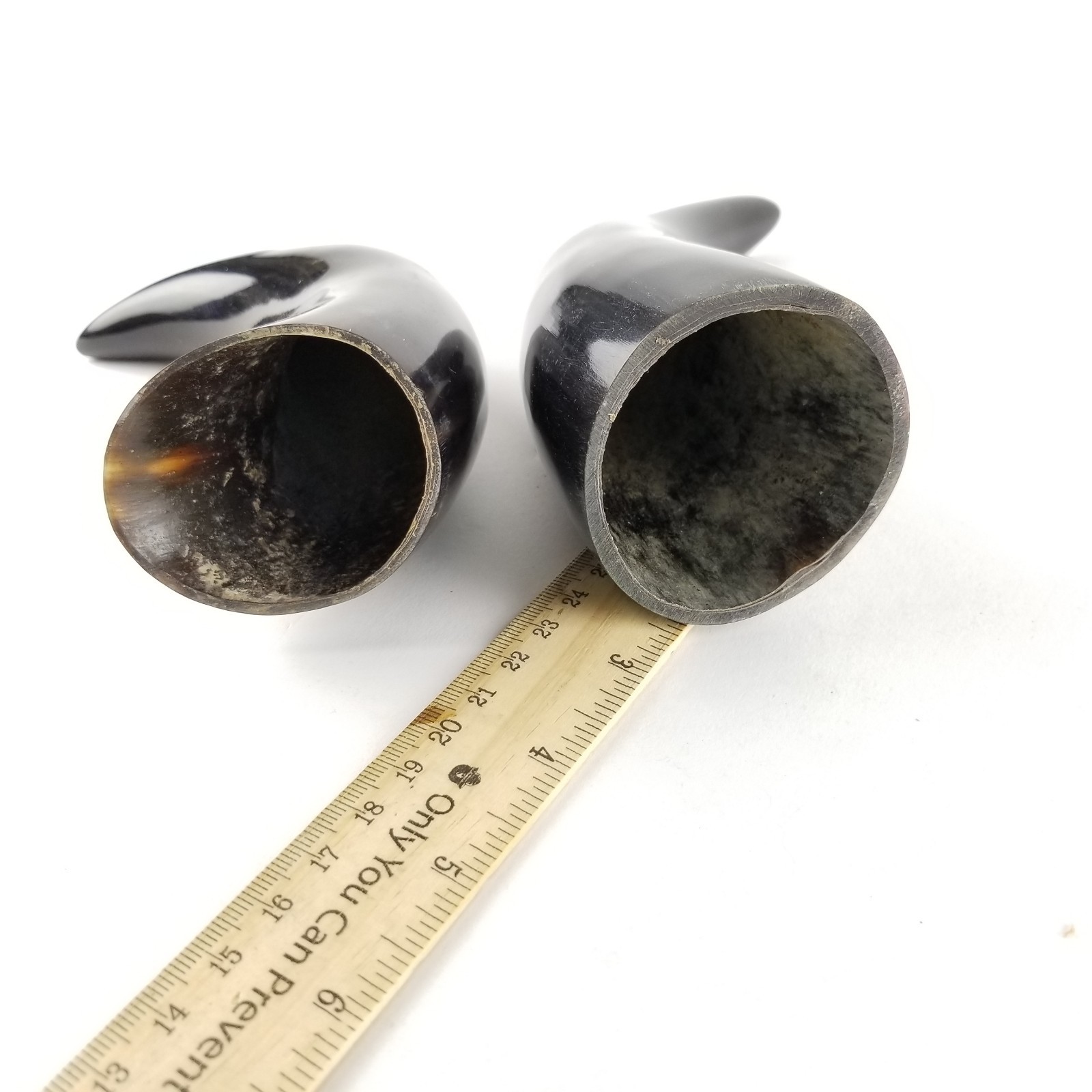 Polished Steer Cow Horn Lot of 2 Black White Markings Curved Taxidermy Crafts