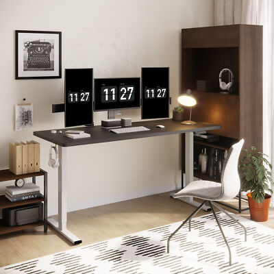 FlexiSpot 40''/48''/55''/60''Height Adjustable Standing Desk with Hooks, Gray Frame