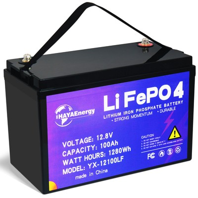 12V 100Ah  LiFePO4 Lithium Battery 100A BMS Solar Home RV/Camping Marine