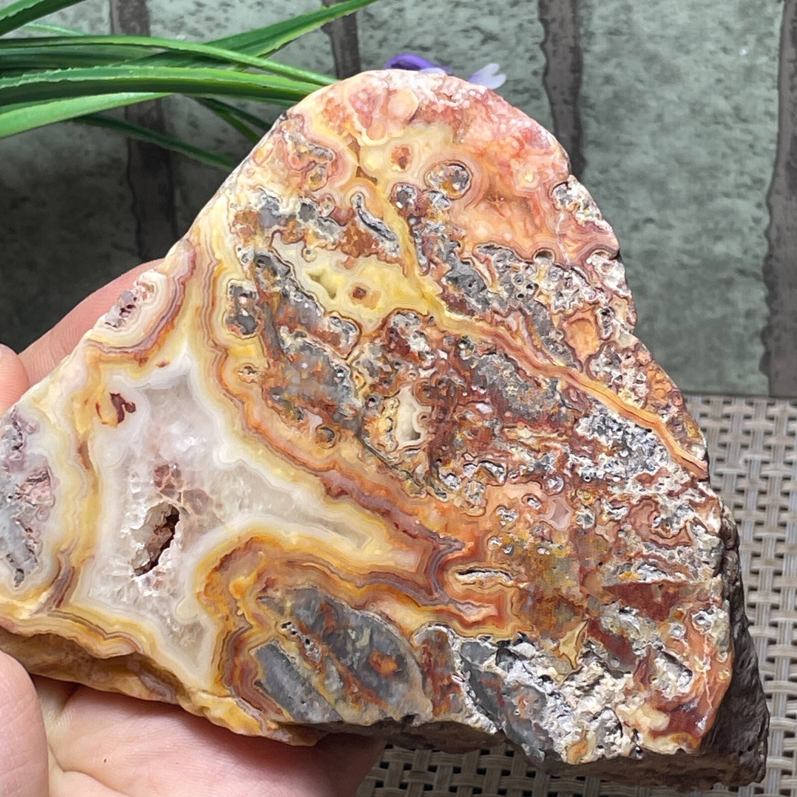 ⭐️chata⭐️ 61Au0jRs8BL.jpg_BO30,255,255,