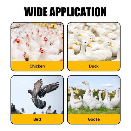 10PC Poultry Water Drinking Cups Automatic Drinker Chicken Hen Duck Quail Feeder