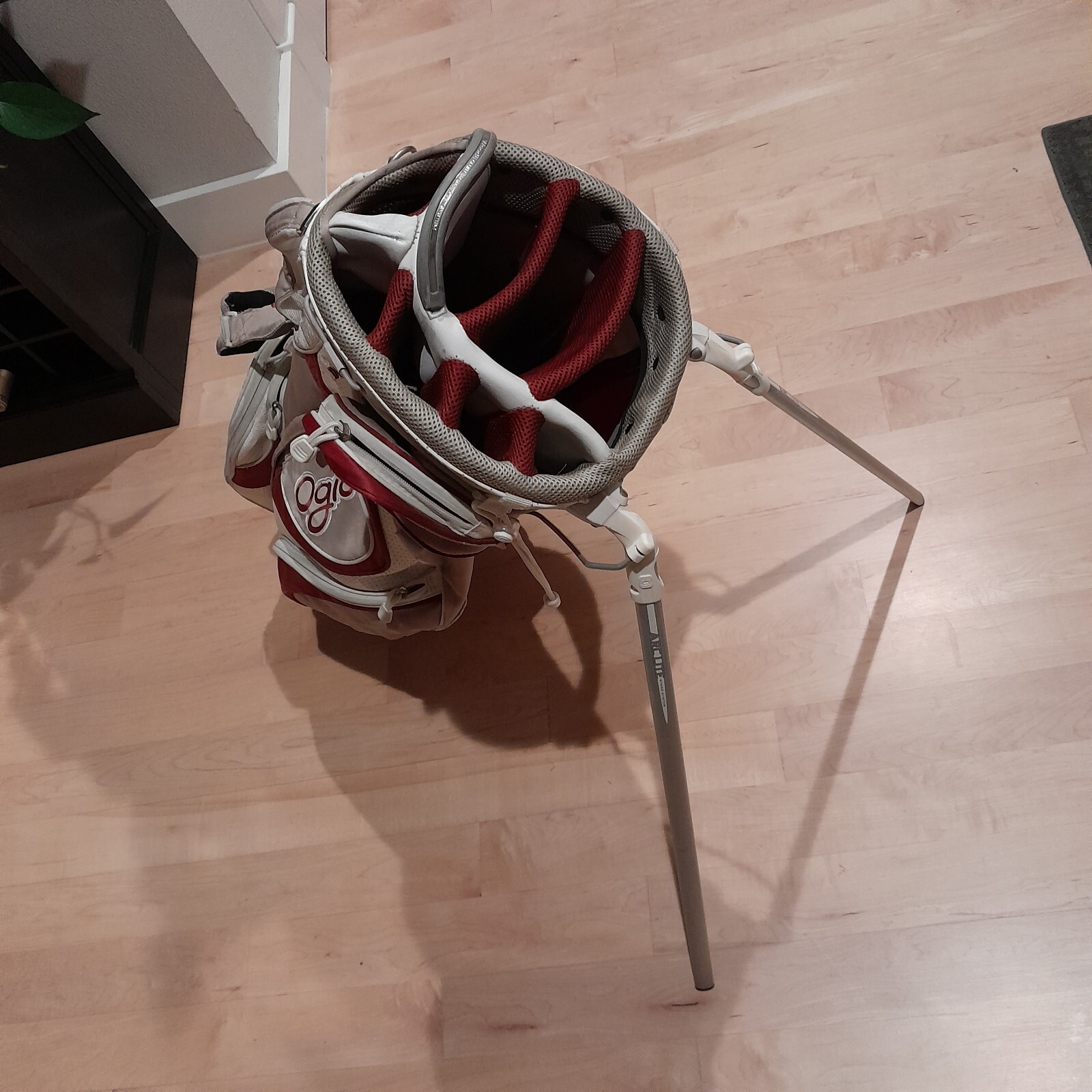 Bag