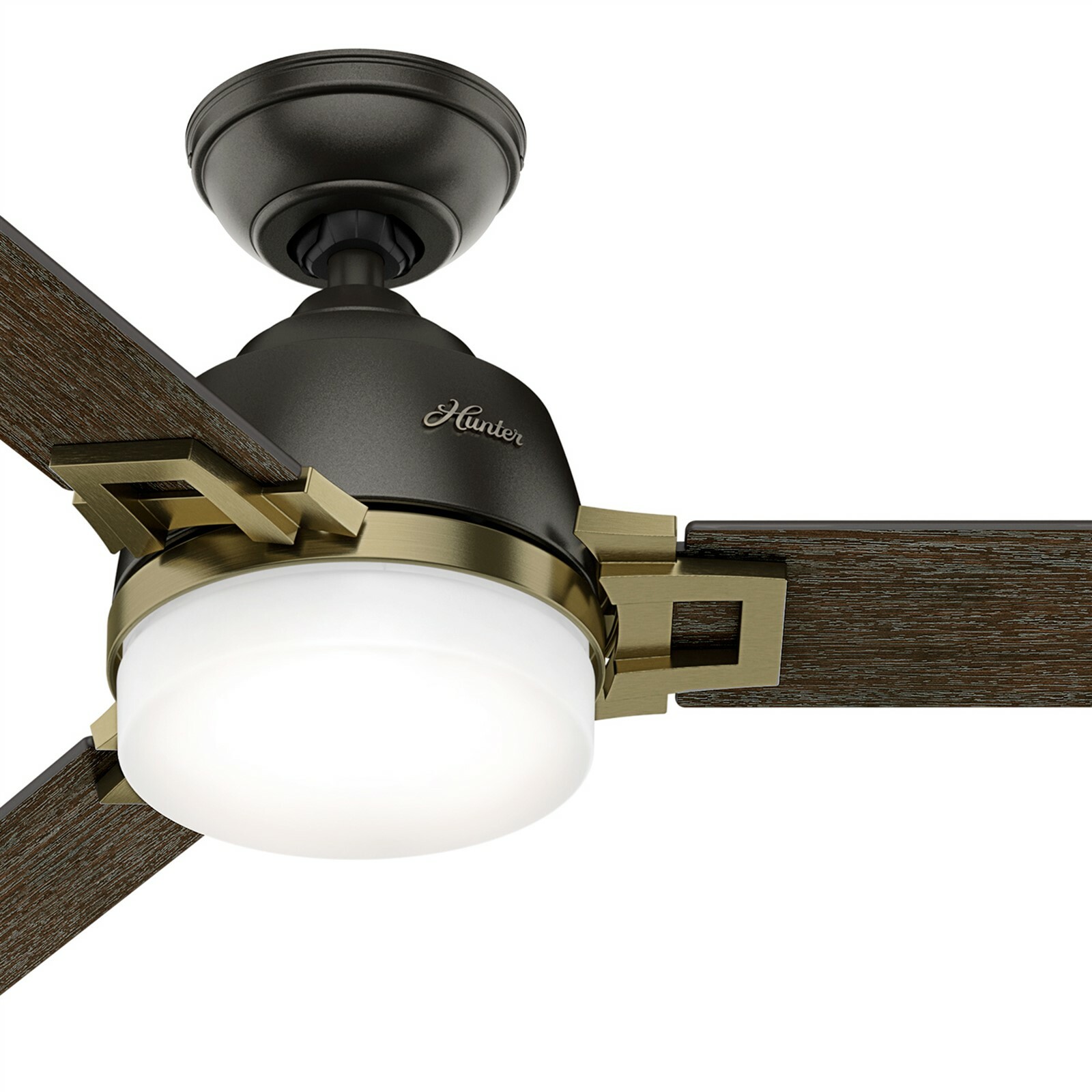 Hunter 48 Contemporary Ceiling Fan With Led Light And Remote