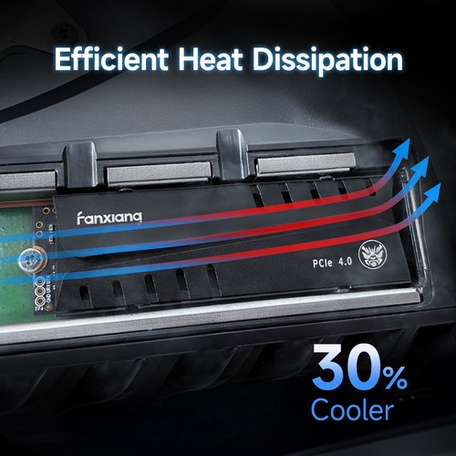 Fanxiang SSD 4TB PS5 M.2 NVME With Heat Sink 7300MBS PCIe 4.0 Solid State Drive