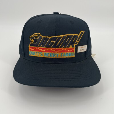 Vintage 90s Dead-stock Knotts Berry Farm JAGUAR roller Coaster SnapBack Hat Pin