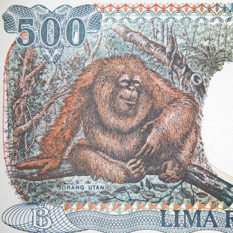 Indonesie Billet 500 Roupies 1992 * Unc / Neuf