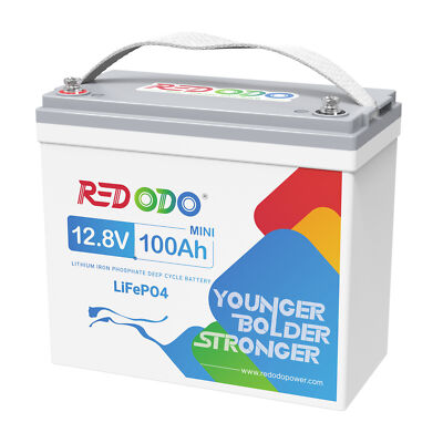 Redodo 12V 100Ah 200Ah LiFePO4 Lithium Battery with BMS for RV Trolling Motor