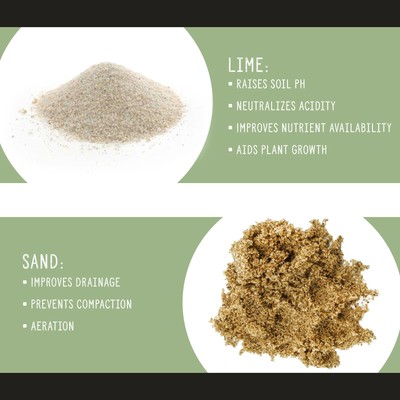 Avocado Tree Potting Soil Mix, Germinate Seeds, Grow, Repot Plants