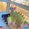 Dinosaur Sphynx Cat Clothes, Soft Polar Fleece Sweater for Cat, Elastic Pet Clothes Thick Winter Warm Outfit for Hairless Cat, Devon, Cornish, Small Dogs Apparel with Sleeves (Green, Large)
