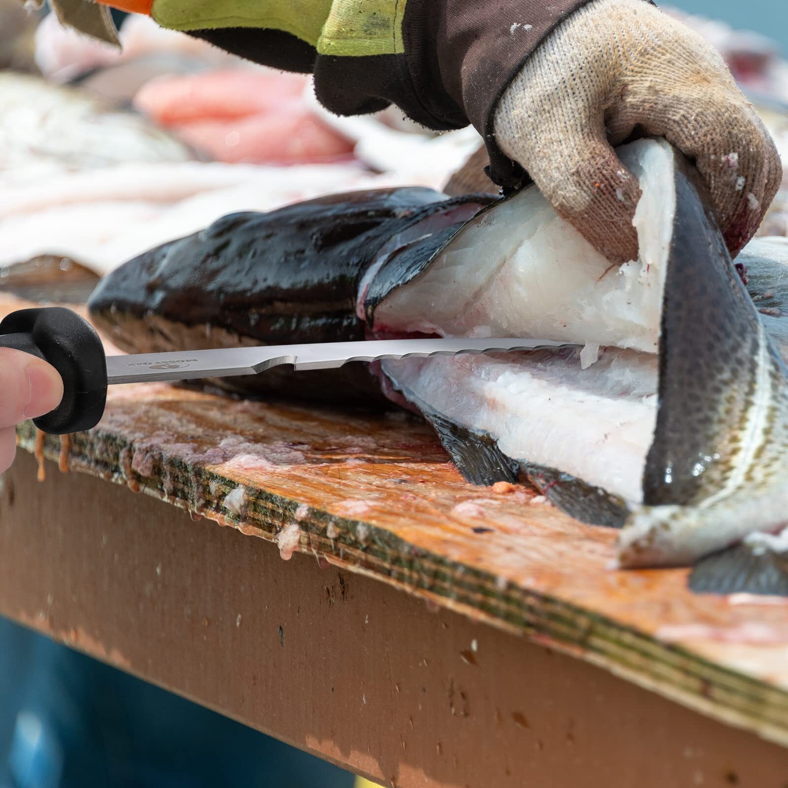 Mossy Oak 4PIECE Fishing Tool Kit Pistol Grip Fishing Plier Fillet Knife Gripper