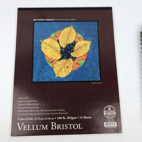 Lot Of 3 Drawing Art Paper Pads And Sketch Books Mixed Media Vellum Bristol
