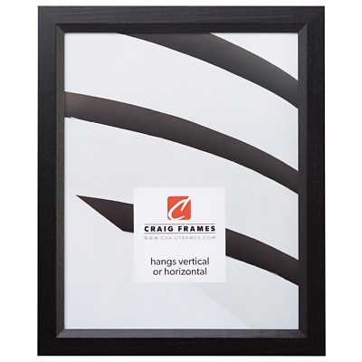 Craig Frames Satin Black Picture Frames & Poster Frames, .8"