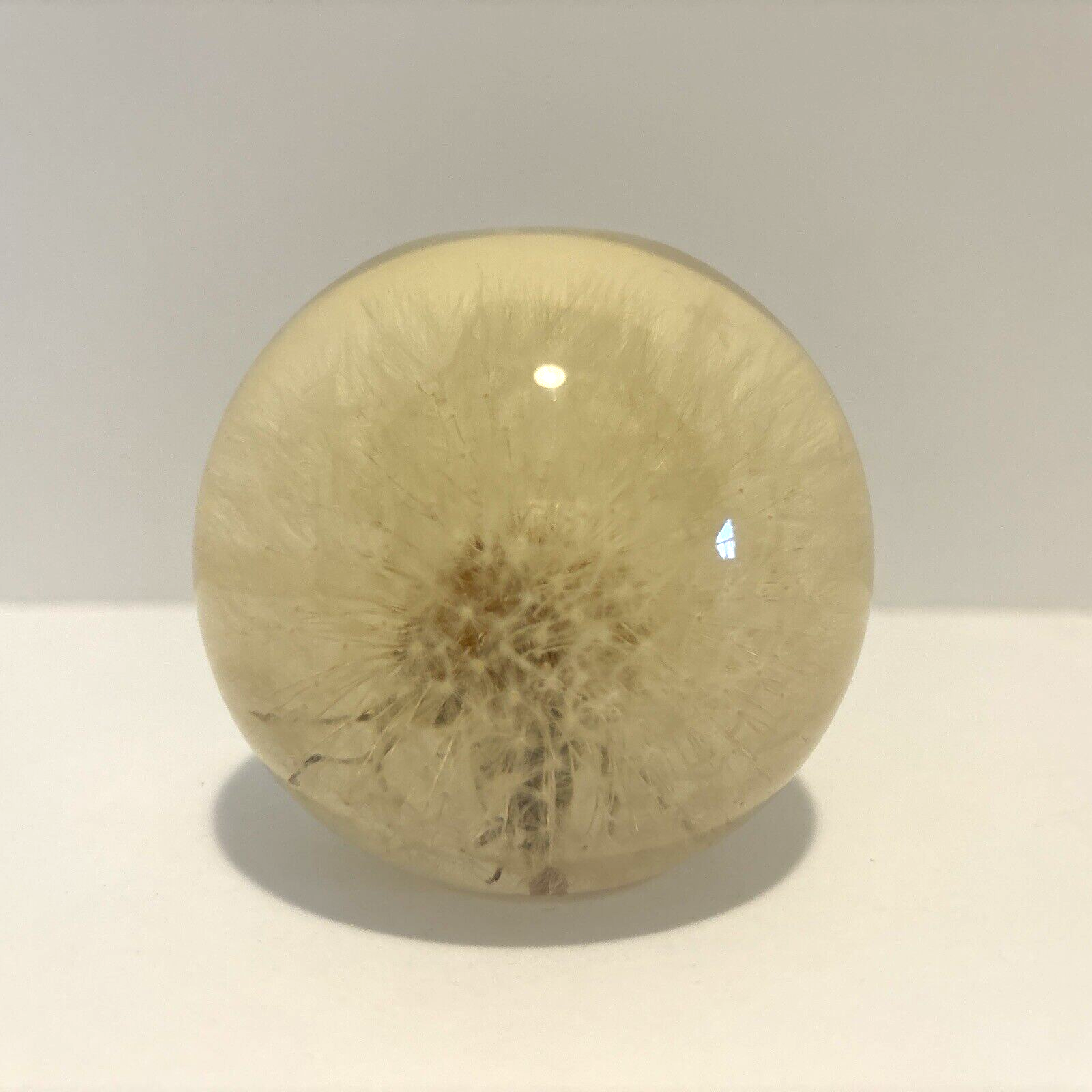 アンティーク雑貨 90s VINTAGE HAFOD GRANGE PAPERWEIGHTS L アンティーク雑貨 90s VINTAGE HAFOD GRANGE PAPERWEIGHTS L