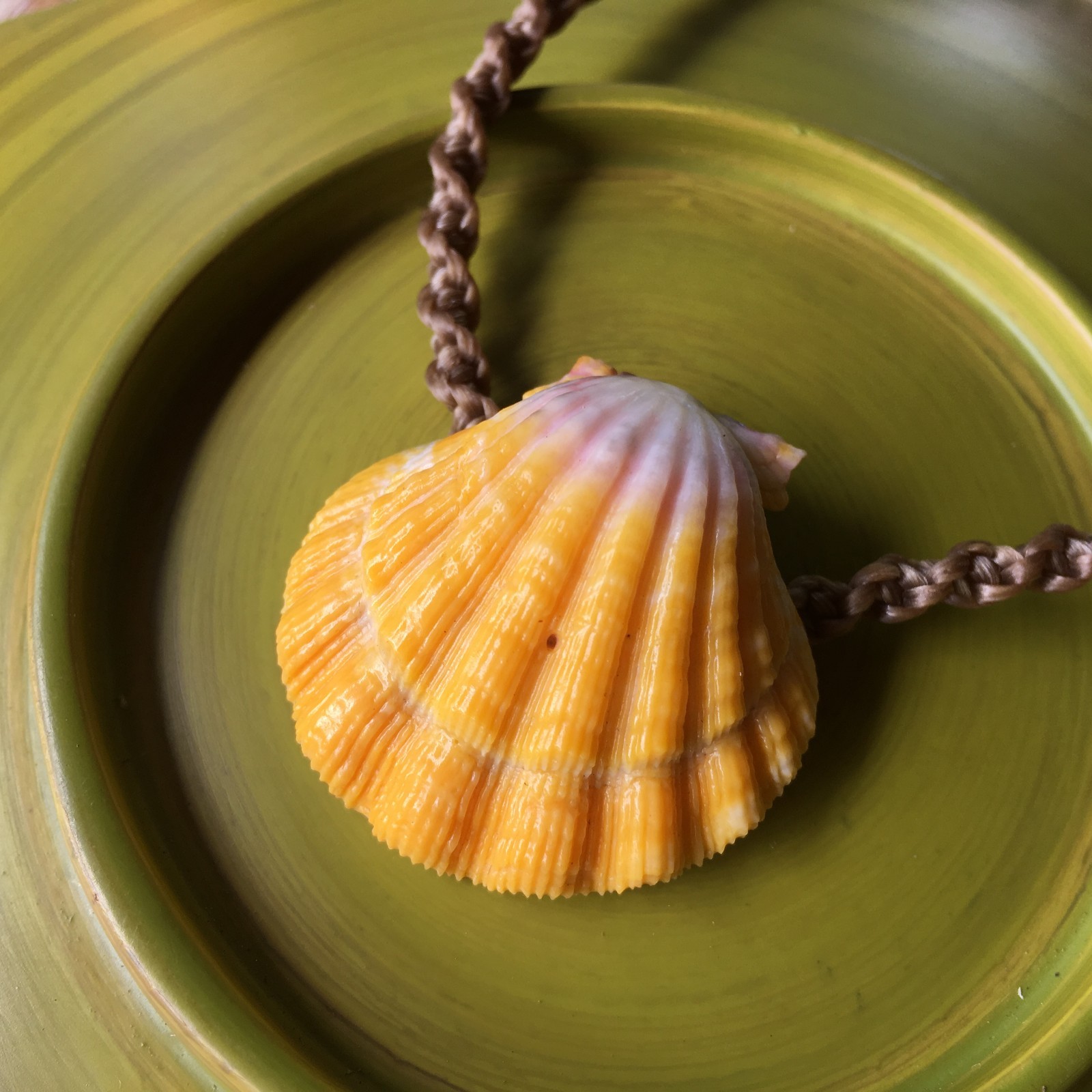 Classic Hawaiian sunrise shell necklace with ridge and a touch of gray