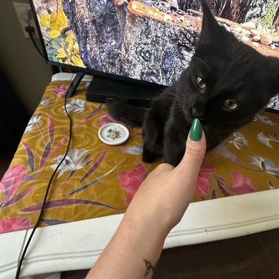 Artikelfoto(s) von einem verifizierten Käufer