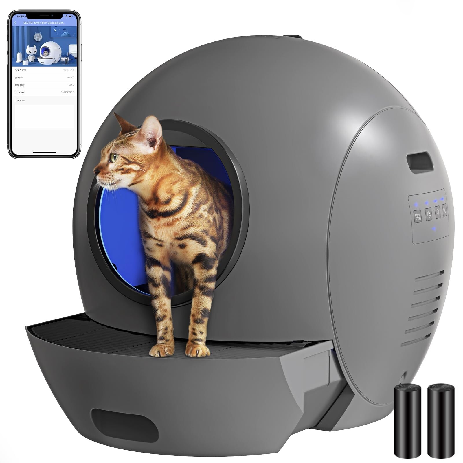 Self-cleaning Enclosed Kitty Toilet