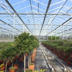 dennis40237 100% positive Bewertungen