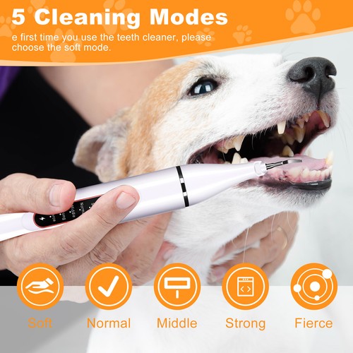 Ultrasonic Dog Teeth Cleaning Kit for Pet Teeth Cleaning, Dog Plaque Remover