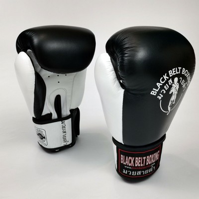 kids 10oz boxing gloves