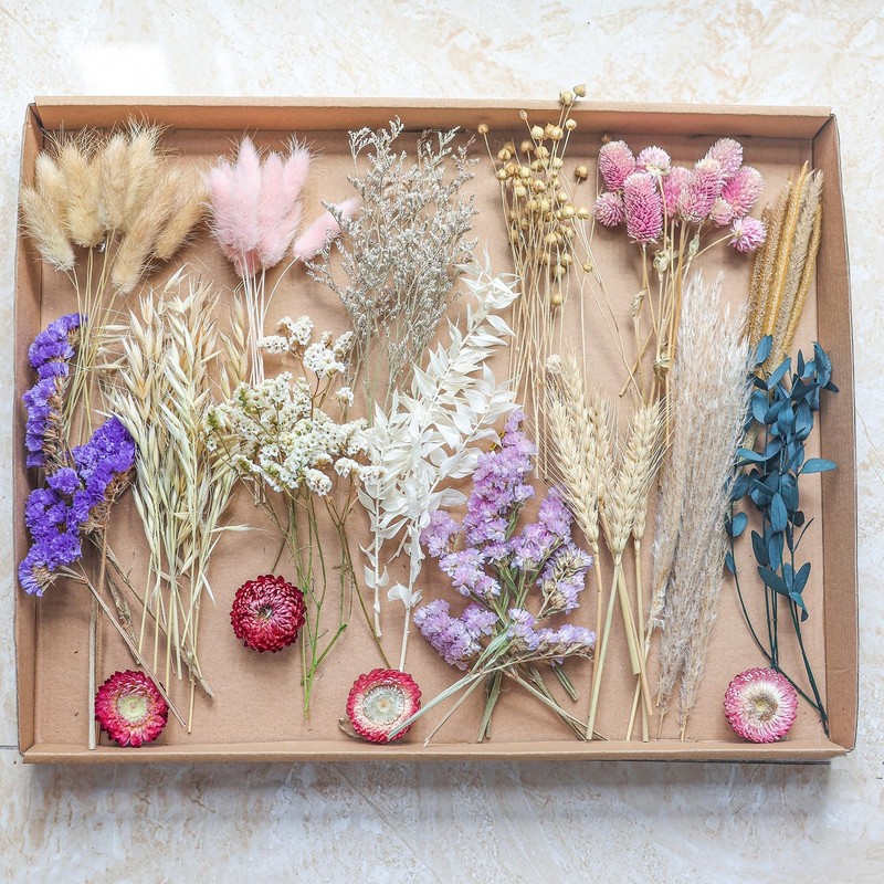 DIY Dried Flower Set, Bulk Dried Flowers,Handmade Ideas, DIY Flower