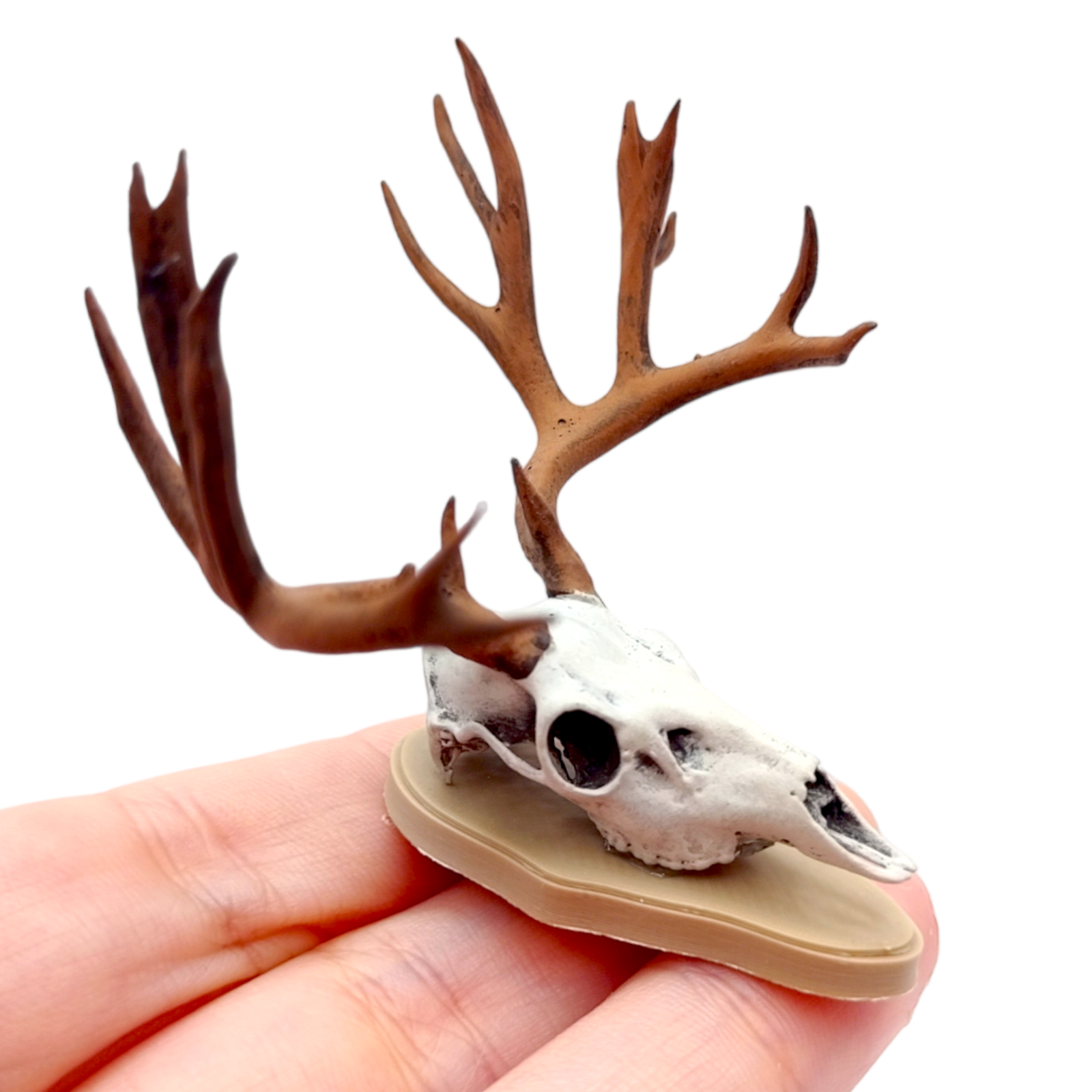 Mule deer skull 1:12 Scale Artisan Diorama Dollhouse Miniature Models 3d printed