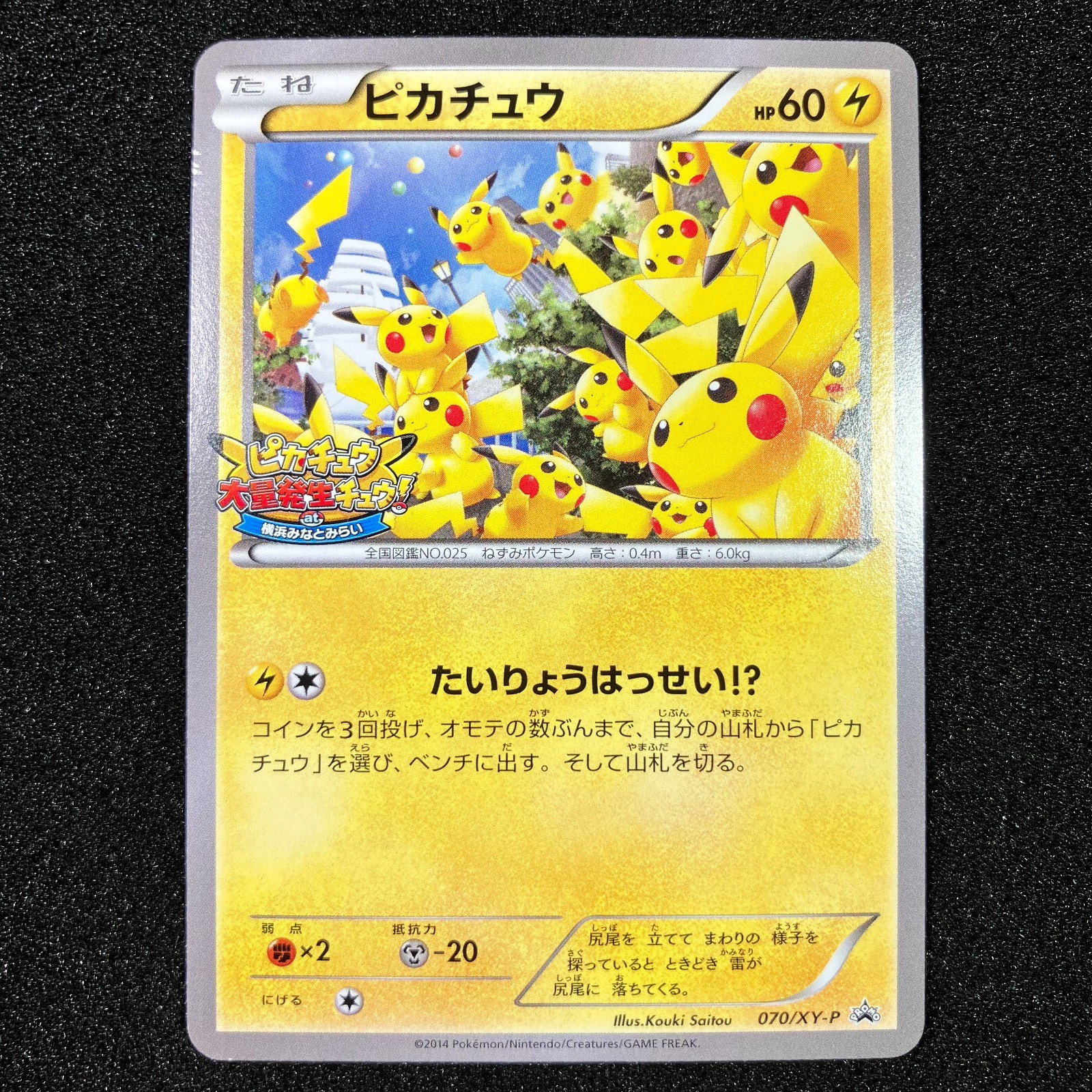 ピカチュウ PROMO XYシリーズプロモーションカード 070/XY-P Pikachu PROMO 070/XY-P - 2014 “Pikachu Outbreakchu” Promo Pokemon