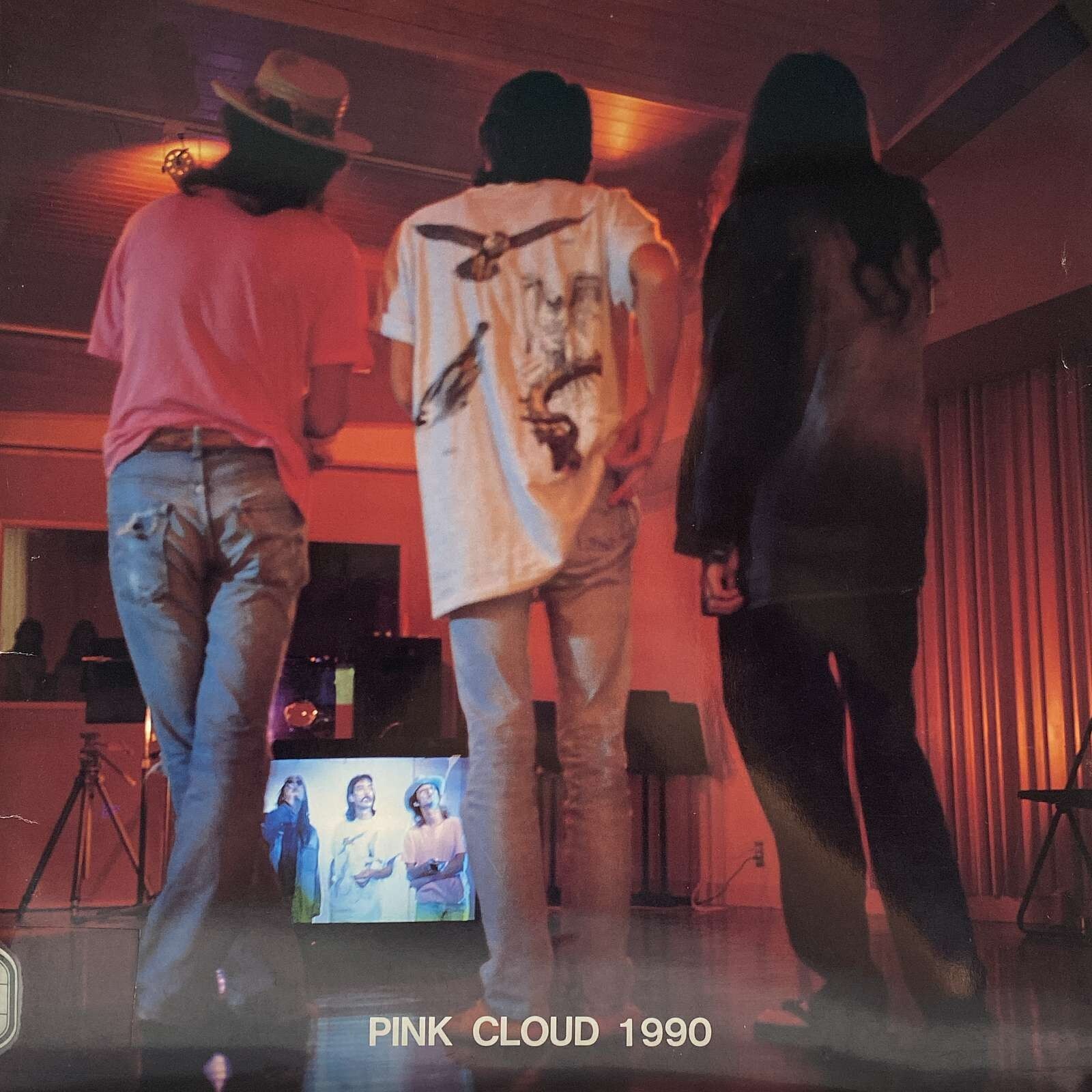 Pink Cloud	1990 Japanese Trio - RARE Japanese Tour Program - 28p