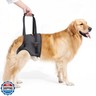 Lqyom Dog Sling for Large Dogs Hind Leg Support, Adjustable Soft Padded Harness for Weak, Injured, or Disabled Back Legs, Helps Support Senior, Arthritic, and Mobility-Impaired Dogs (Large)