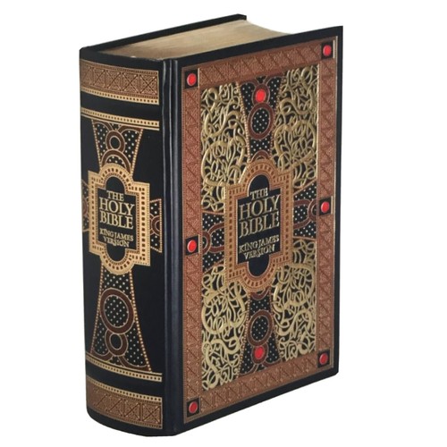 ❤️THE HOLY BIBLE  King James Version Gustave Dore illustrated Leather Bound NEW