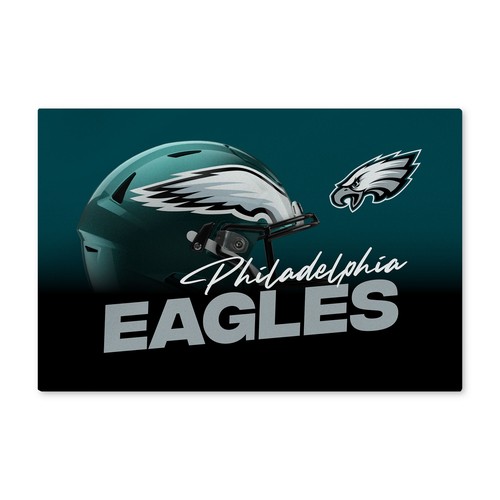 Моющийся коврик для пола Northwest NFL Philadelphia Eagles Headspace, 20 x 32