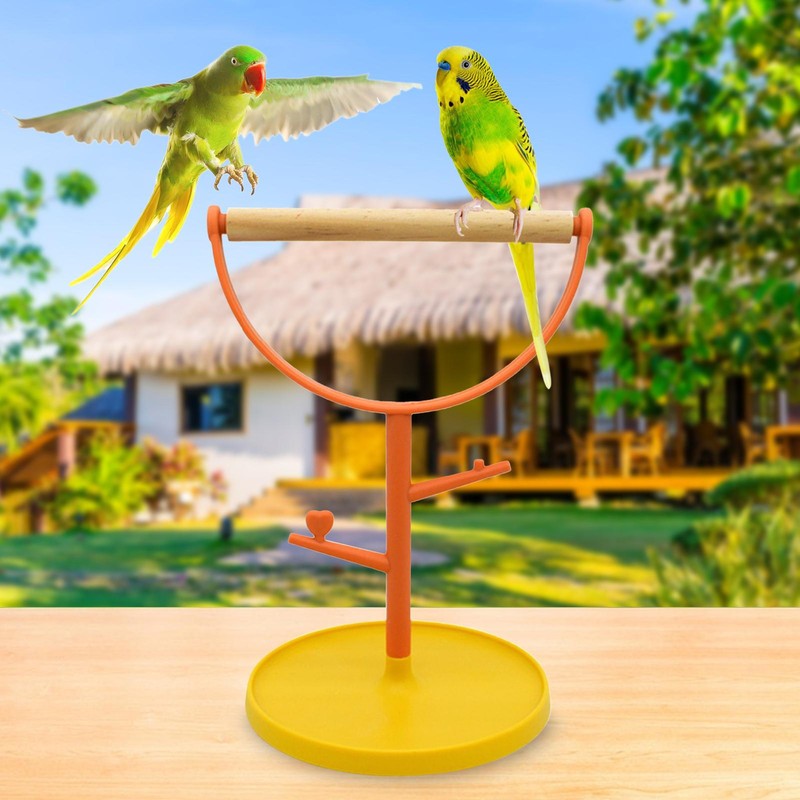 Perch Bird Holder Bird Perch W/ Branch