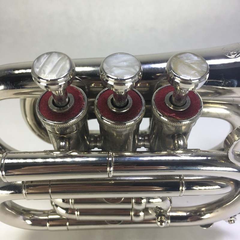 Raison Band Co. Pocket Trumpet Cornet With Case Meerut India