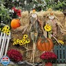 Metal Pumpkin Stakes Yard Signs Fall Decor Decorative Garden Stake Lawn Pumpkins Ornaments Outdoor Autumn Decoration for Harvest Halloween Thanksgiving (17.5