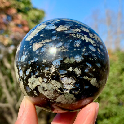 391G Natural Blue Que Sera Stone Llanite Stone Quartz Llanolite Stone Healing Ba