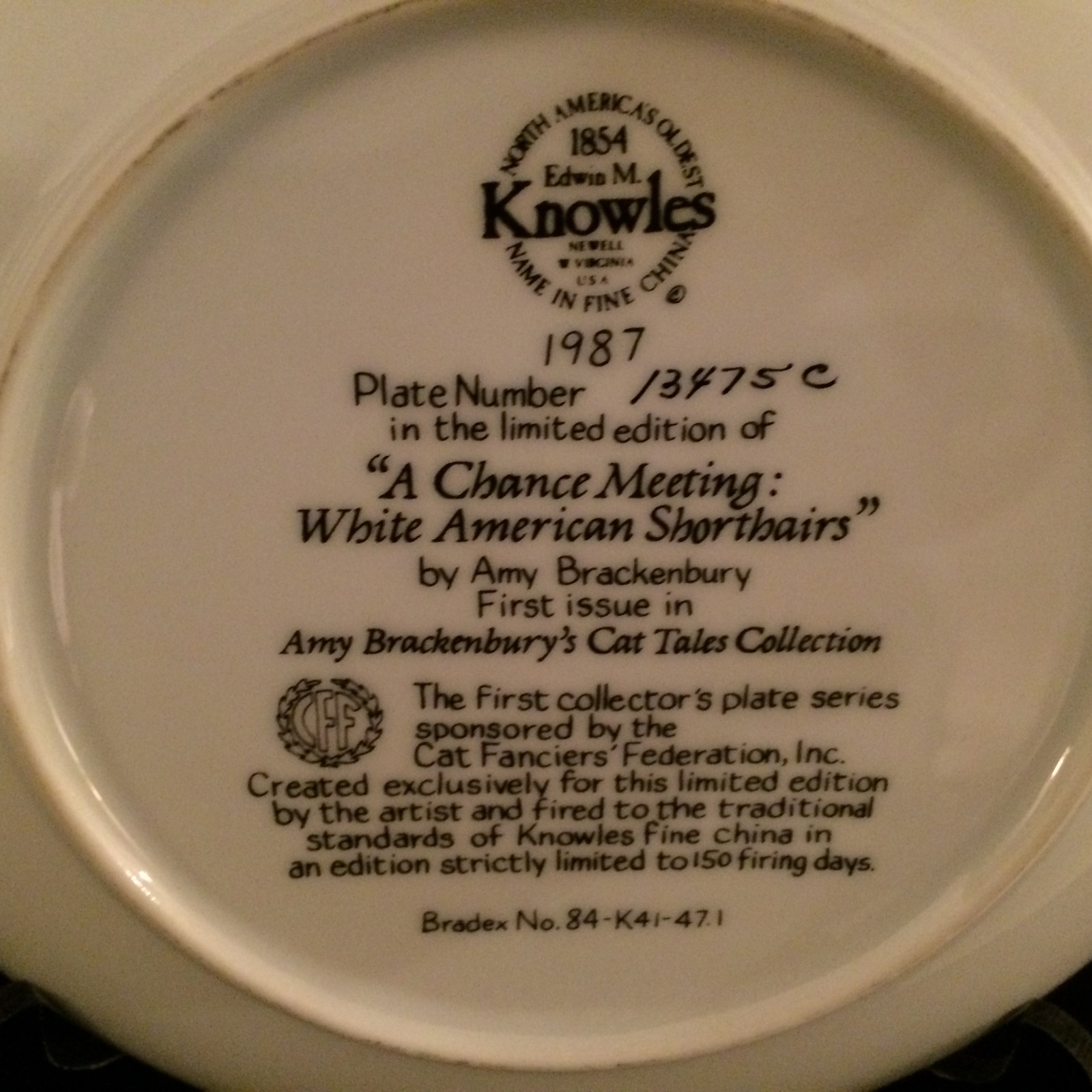 Knowles 1987 White American Shorthairs Cat Plate Amy Brackenbury Cat Tales
