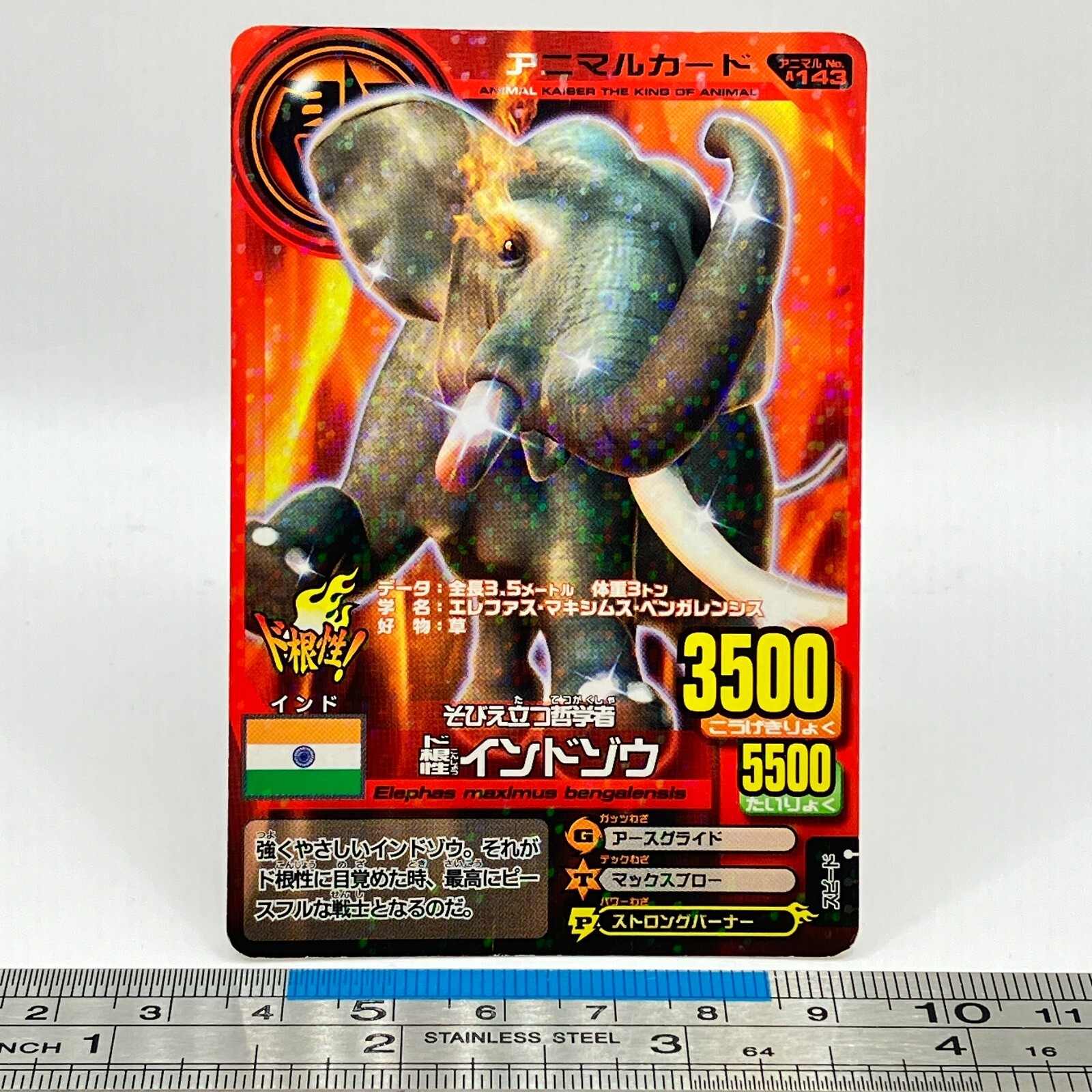ELEPHANT 2冊 Signature Design by Ashley Furniture Wall Art A8000281