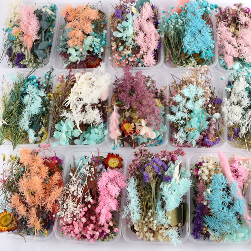 Colorful Real Dried Flowers Art Craft Epoxy Resin Candle Making Crafting Kit