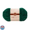 Woyarts Velvet Yarn – Super Bulky Chunky Chenille Yarn for Crocheting and Knitting, 100g (120m) – Thick, Fluffy and Soft – Perfect for Baby Blanket, Amigurumi, Plush Projects (E-Emerald, 1 Skein)