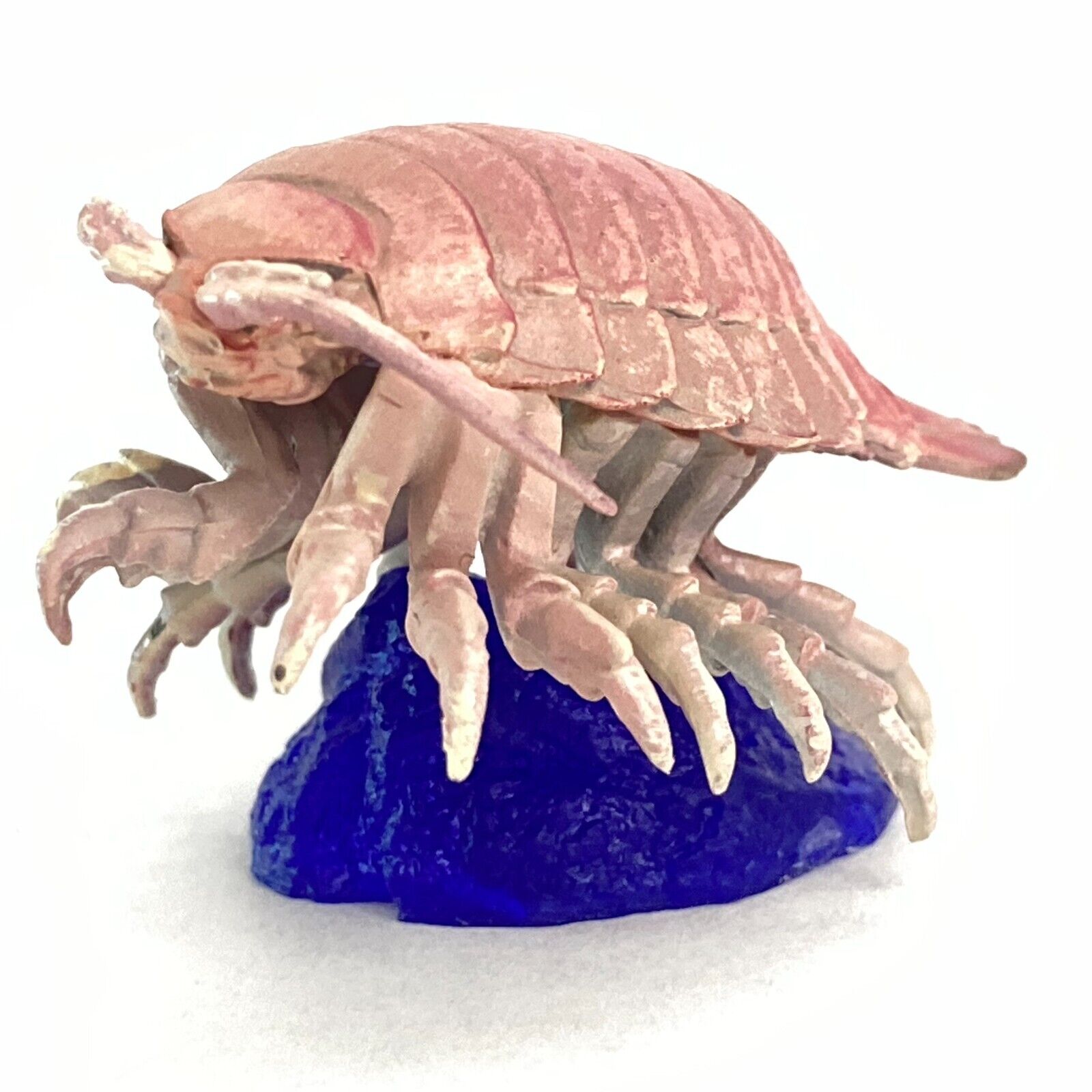 Capsule Aquarium Deep Sea Life Mini Figure Giant Isopod Kaiyodo Japan Capsule Aquarium Deep Sea Life Mini Figure Giant Isopod Kaiyodo Japan