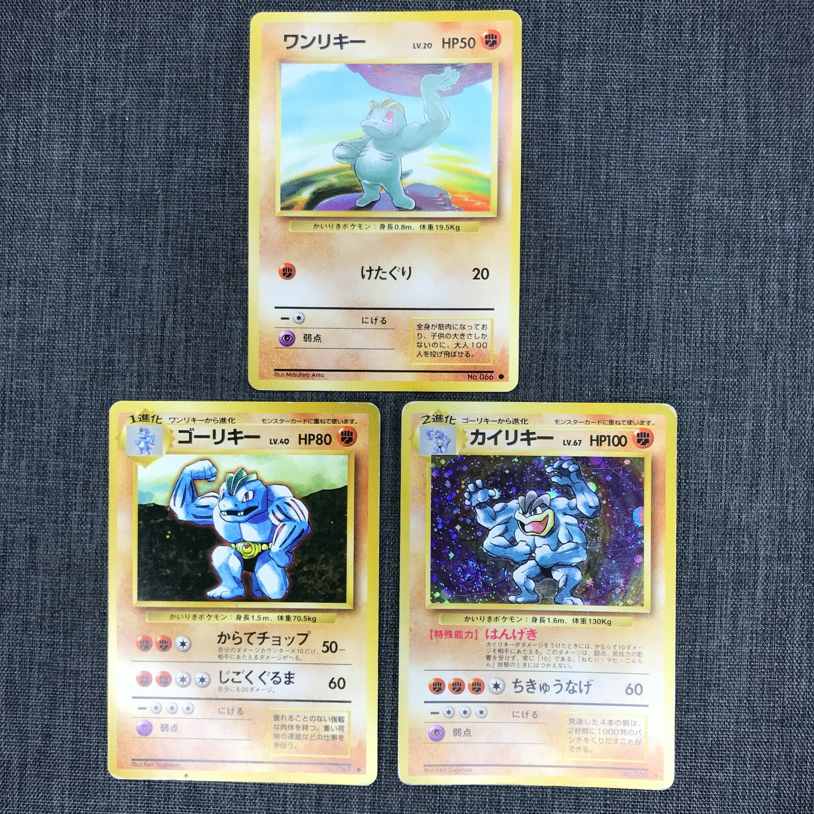 Machop Machoke Machamp Old back Pokemon TCG Japanese card