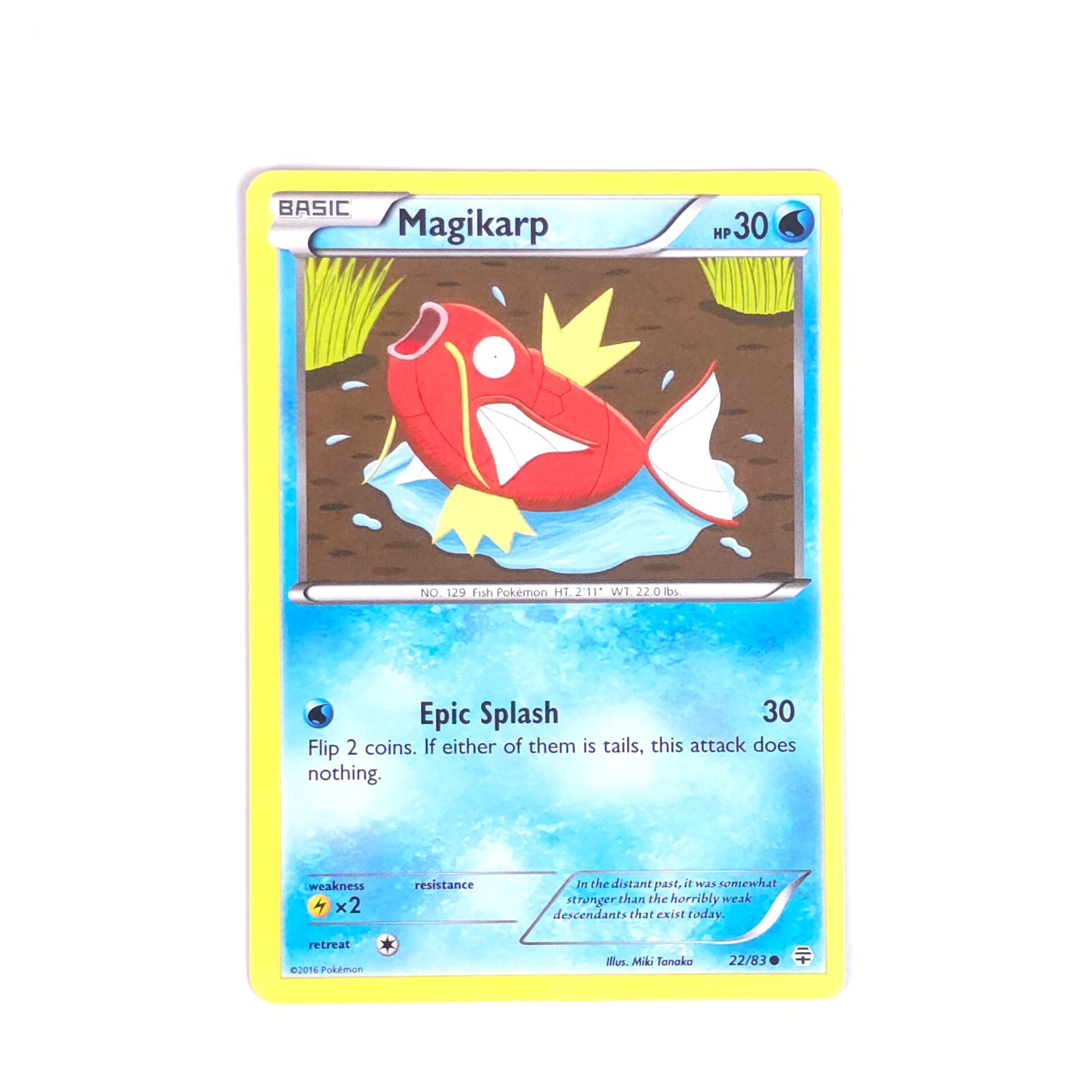 シングルカード Magikarp Pokemon Card $_57.JPG?set_id=8800005007