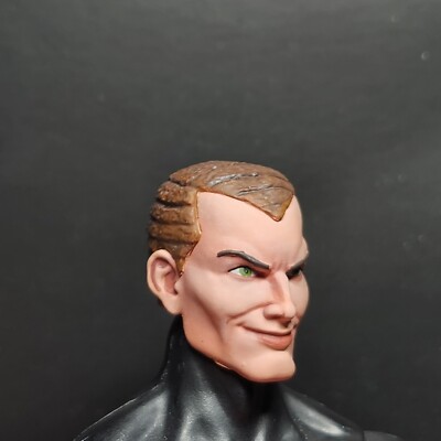 HEAD ONLY Marvel Legends Custom painted Norman Osborne Only custom painted