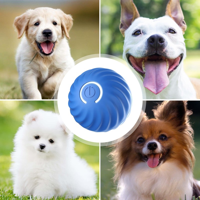 Active Rolling Ball for Dogs USB Rechargeable Moving Dog Toy Interactive DogBall