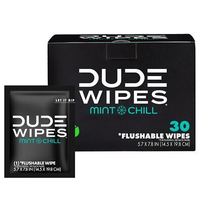 DUDE Wipes-On-The-Go Flushable Wipes -1 Pack,30 Wipes -Mint Chill Extra-Large...