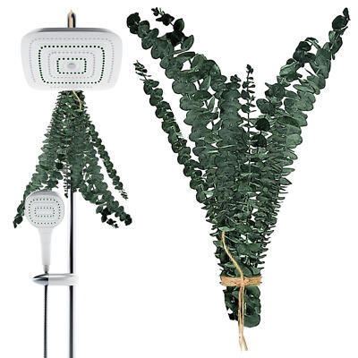 10pcs Natural Eucalyptus Stems For Shower Bathing Decor Dried Eucalyptus Bundle