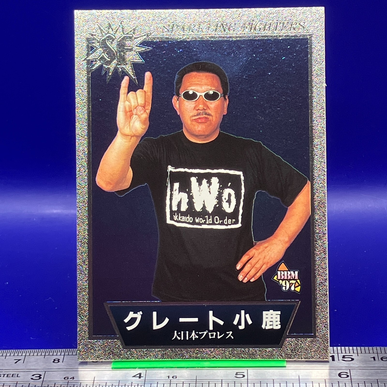 BBMプロレスリングカード $_57.JPG?set_id=880000500F